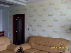 金佳液體壁紙 液體壁紙價格